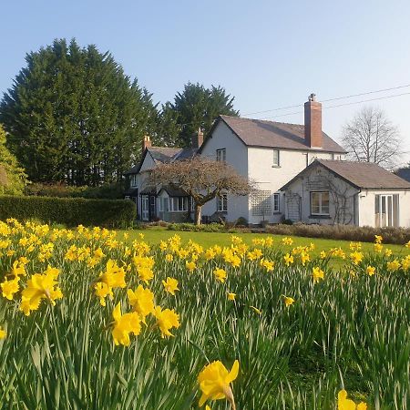 Lower House B&B Adforton Leintwardine Exterior foto